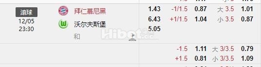2024年5月12日23：30德国甲级联赛拜仁慕尼黑VS沃尔夫斯堡